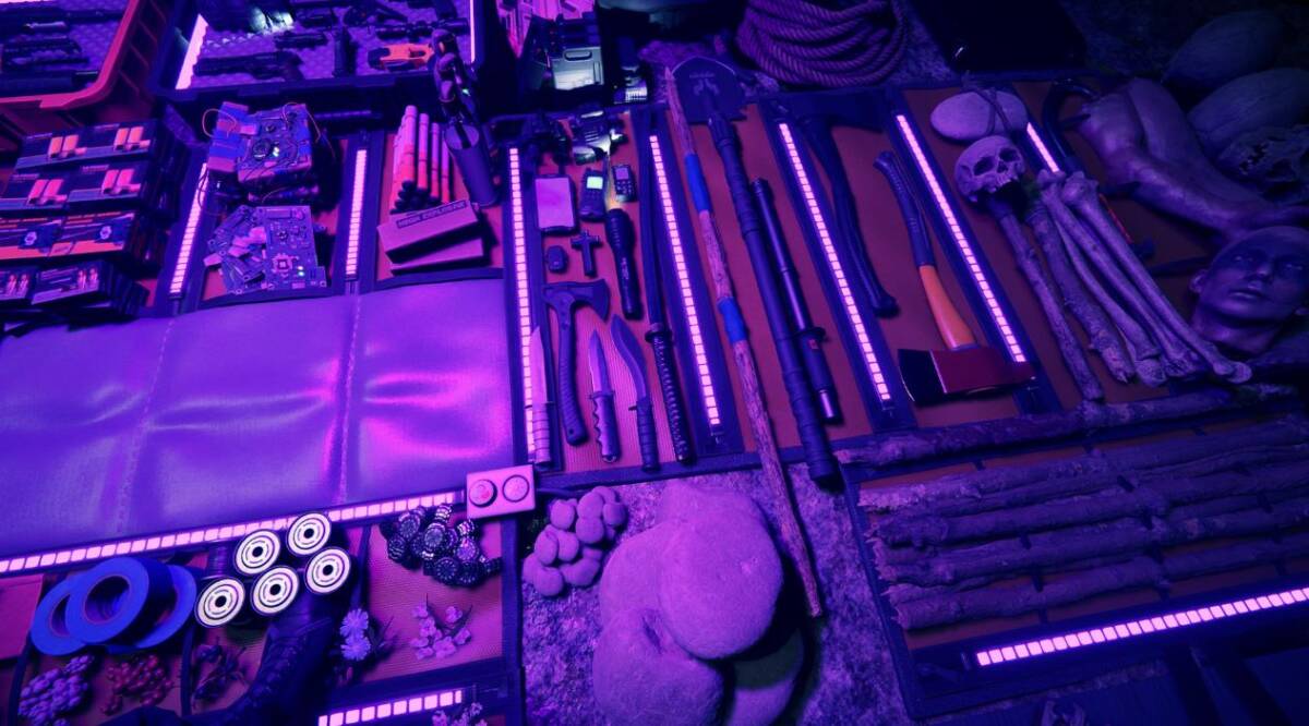 선즈 오브 더 포레스트 인벤토리 시스템