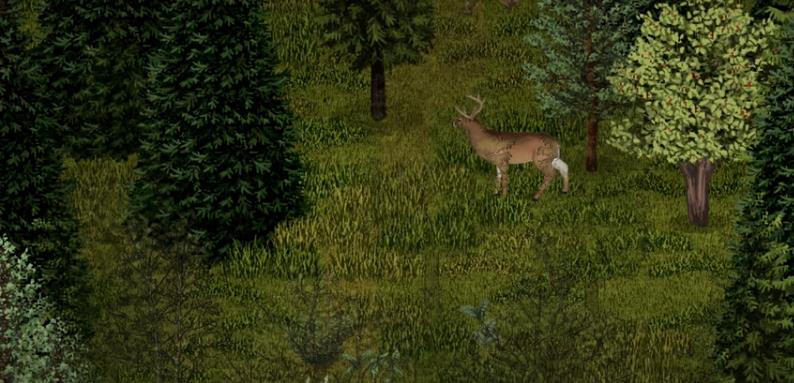 프로젝트 좀보이드 업데이트 42빌드에 추가될 동물 업뎃