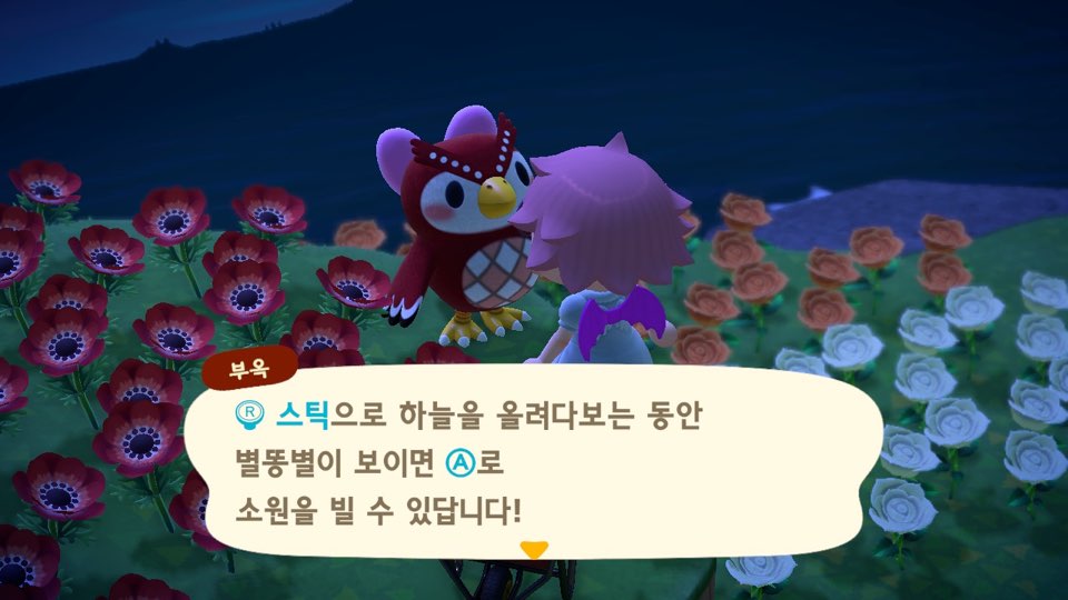 모동숲 별똥별 공략 부옥이 만나기