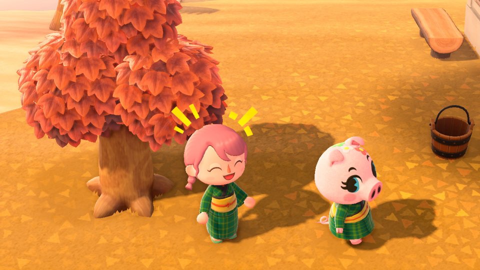 모여봐요 동물의 숲 꽃지