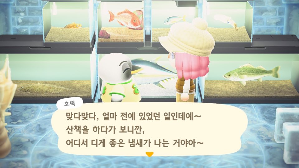 모동숲 주민과의 대화 장면