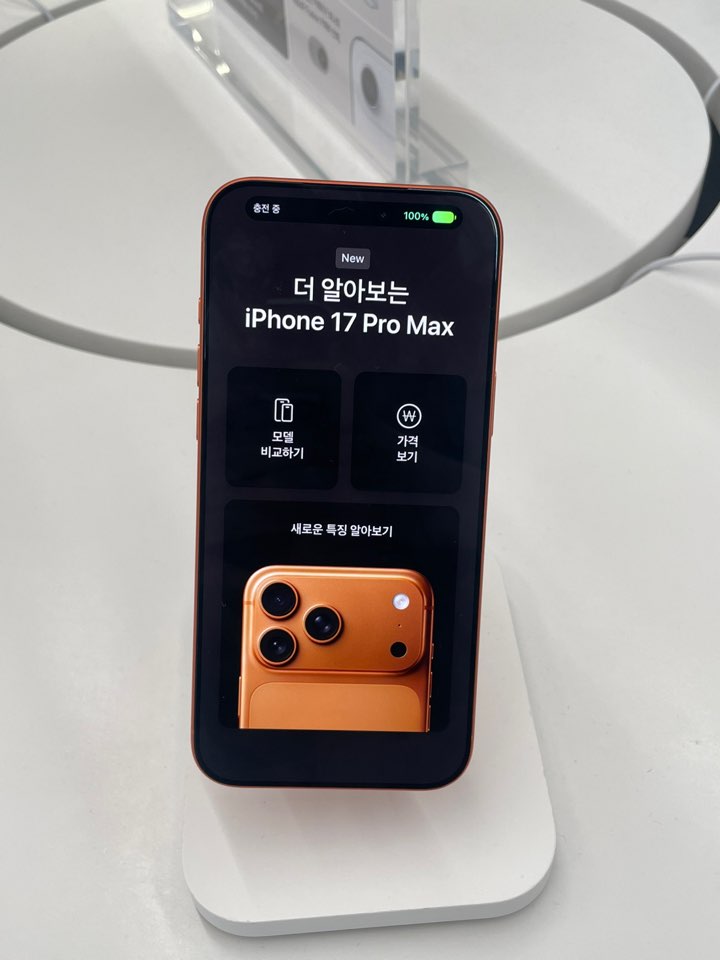 아이폰 17 프로 맥스 디스플레이